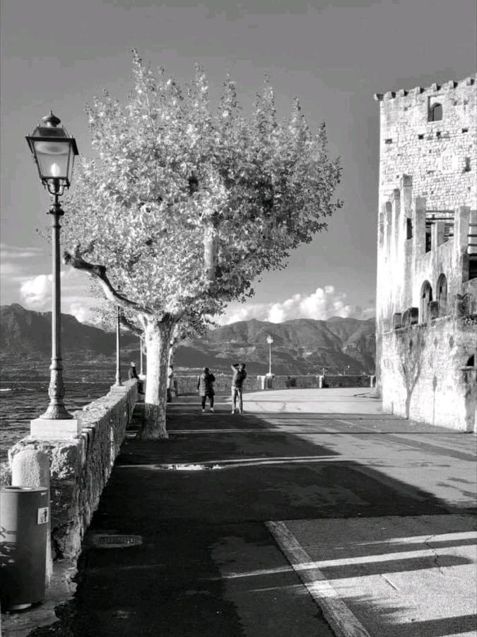 Garda Dreams Apartment Torri Del Benaco Eksteriør billede